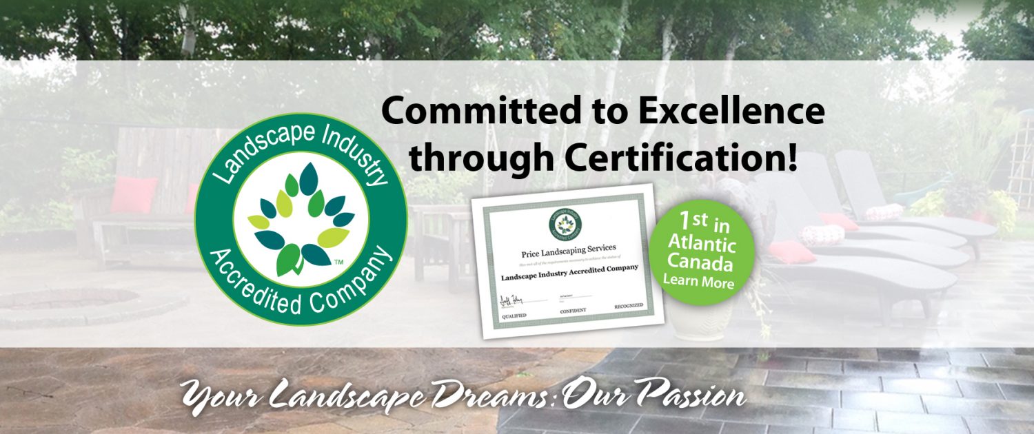 Committed to Excellence through Certification